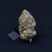 THC | Planet Purple