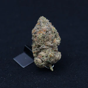 THE HEMPIRE COLLECTIVE - THC | Planet Purple