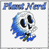  Plant Nerd- (Quarter-7g)- Guava Bars