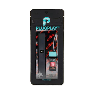 PLUGPLAY - Plug Play Disp. 1g | Watermelon Sorbet (H)