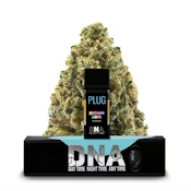 Plug Play Vape 1g | DNA Northern Lights