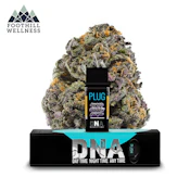 Plug Play - Pod - Sugar Daddy Purple (I) 1G