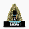 PLUGplay: DNA - Northern Lights 1g Pod (I)