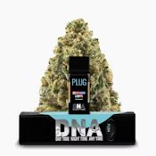 PLUGplay: DNA - Northern Lights 1g Pod (I)