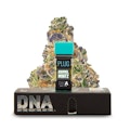 Plug Play | DNA | Animal Mintz | 1G POD