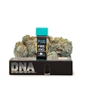 PlugPlay | Fire OG | 1g Pod