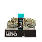 PlugPlay | Fire OG | 1g Pod