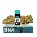 PlugPlay | Super Jack | 1g Pod
