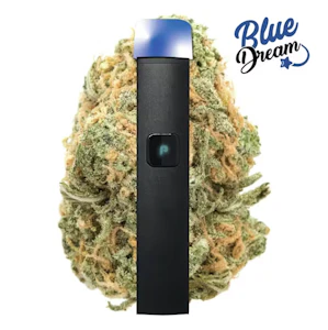 PLUGPLAY™ - PLUGplay | JUSTplay | Blue Dream | DNA | All-In-One Rechargeable Vape | 1g