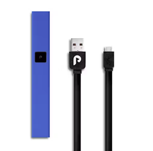 PLUGPLAY - PLUGplay | Blue Steel | Battery