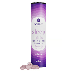 Wonder - Wonder Minis Sleep 1:1:1 Plum [40pk] - 100mg