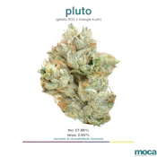 MOCA Flowers - 1/8th Mylar Bag - Pluto