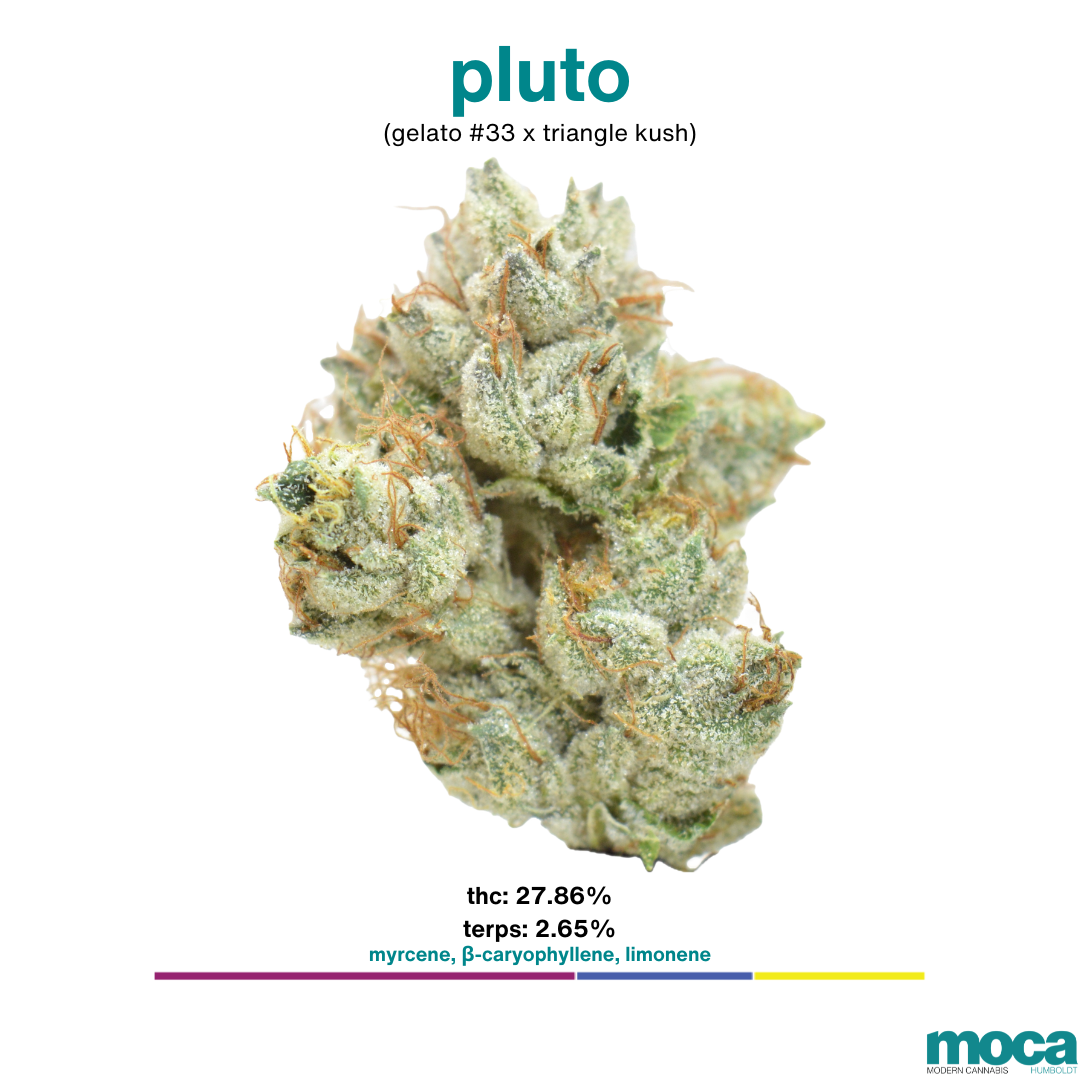 MOCA Flowers - Smalls 1/4 Bag - Pluto