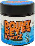 Point Reyes R*ntz 3.5g Jar - High Tops