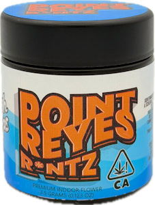 HIGHTOPS - Point Reyes R*ntz 3.5g Jar - High Tops