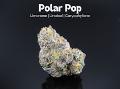 Polar Pop - 14.15 grams