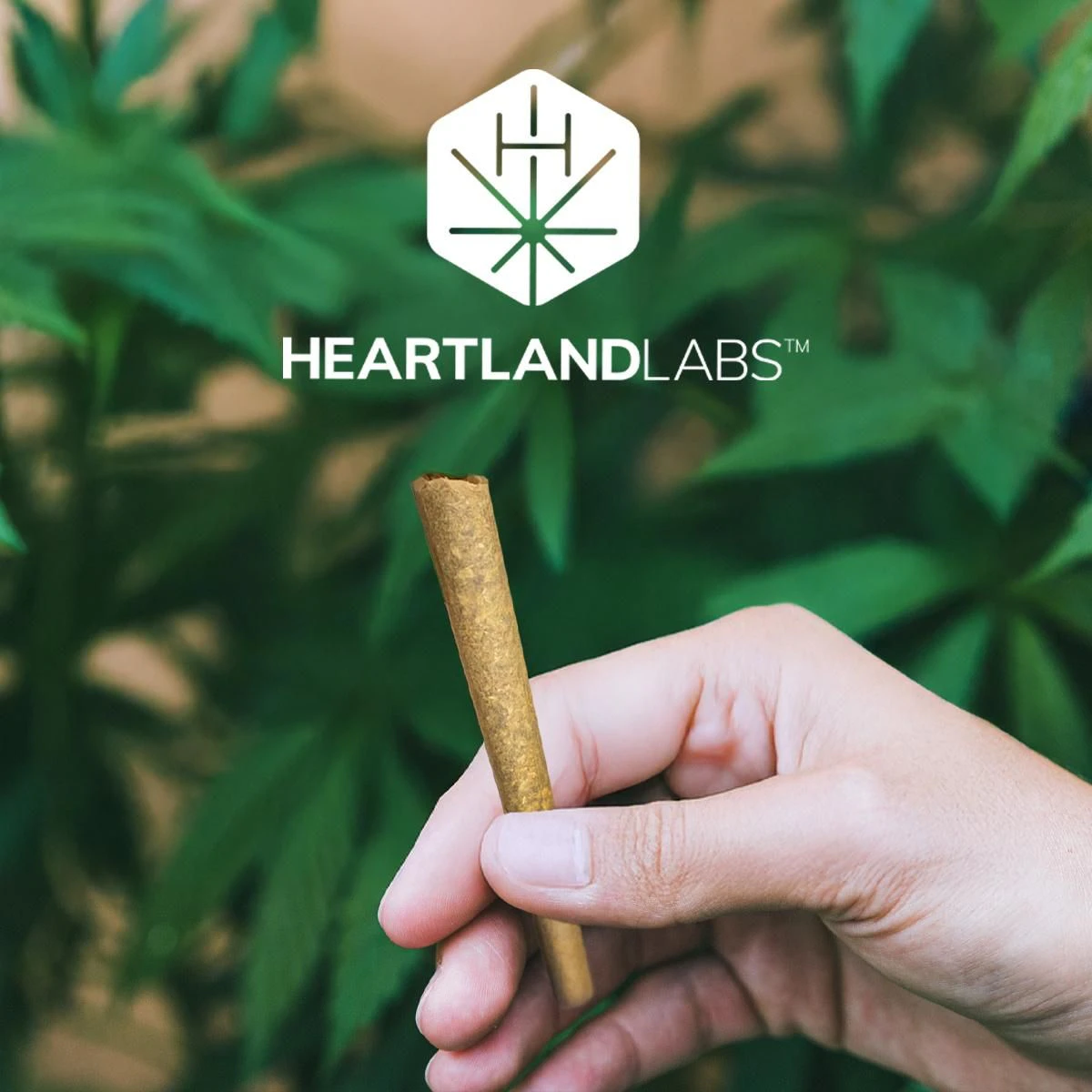 Heartland Labs - HEARTLAND LABS - CLEMENTINE 0.5 GRAM PRE-ROLL Main Image
