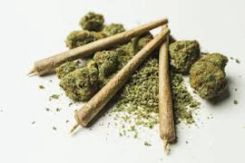 Oregon Market Obama Runtz Single Pre-Roll 0.5g