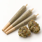 THC - Animal Mints 1g Preroll