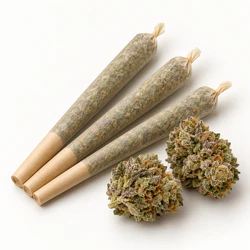 The Hempire Collective - THC - ICC x Kush Mints LowRes Selfie 5pk, 0.5g Multipack Main Image