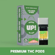 UP!: Lemon Cherry Gelato 1g Live Resin Pod (H)