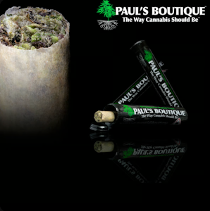 Paul's Boutique - Preroll | Platinum Punch | 1g