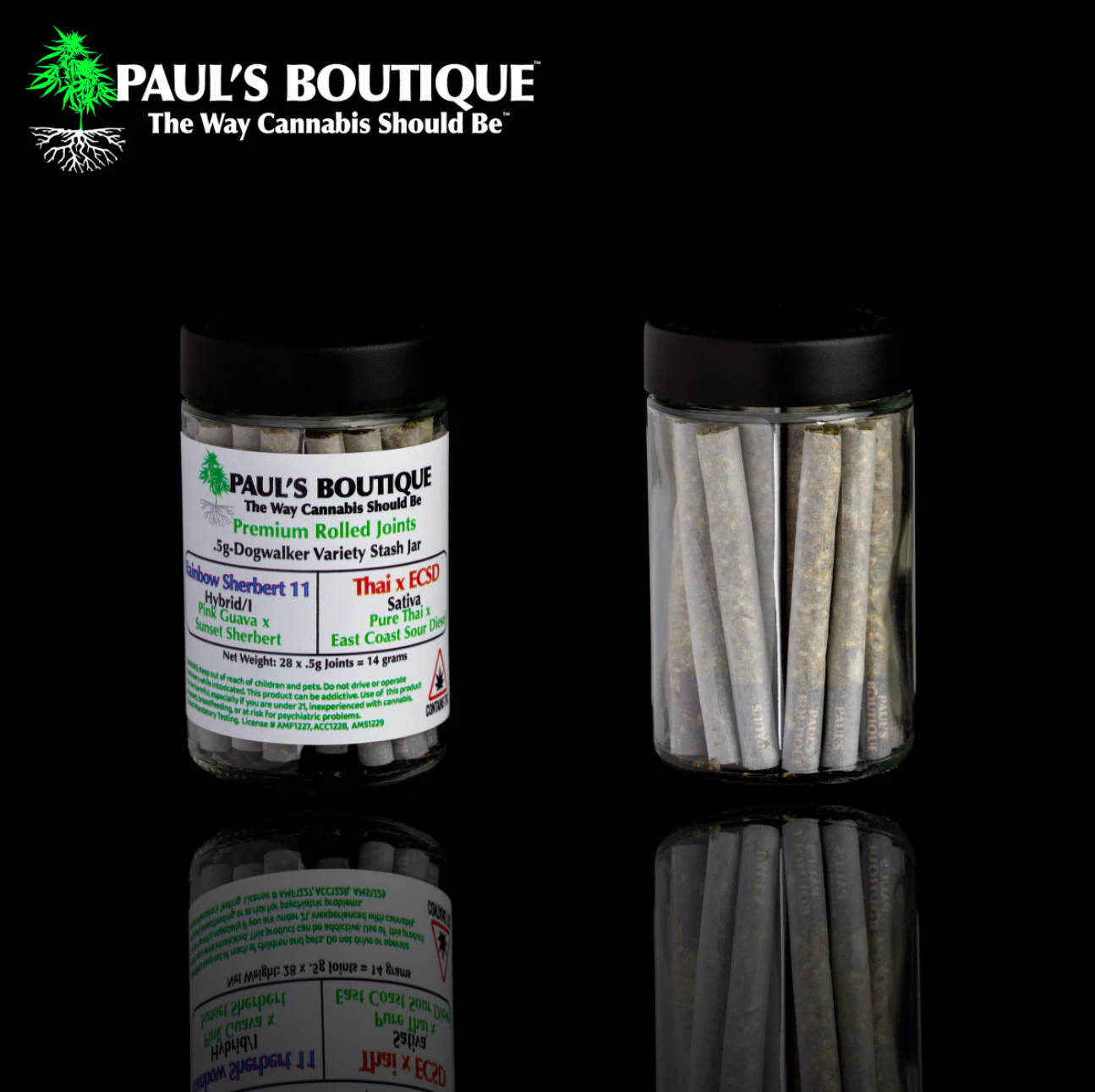 Paul's Boutique - 10-pk Prerolls | Banana Breath | 7g Main Image