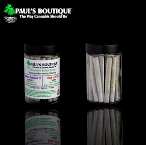 Paul's Boutique - 14-pk Variety Prerolls | Gelato 49 x Straw-Lectric Lemonade | 14 g total