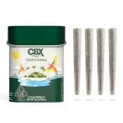 Tropicanna | Pre-Rolls 4-Pack | 2g