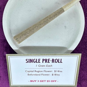 Quality High - Solo Joint - Buckin Runtz