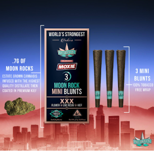 PRESIDENTIAL - Presidential - Moon Rock - Blunt 3pk - XXX (I) 2.1g