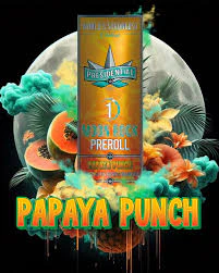Presidential - Presidential - Papaya Punch Preroll 1g Main Image