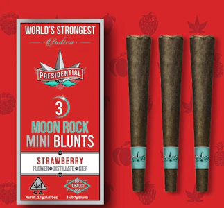 Presidential - Presidential Infused 3pk Mini Blunts 2.1g Watermelon 