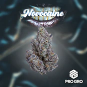 Novocaine | Pro Gro | Bulk Flower