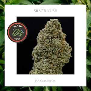 JAR Cannabis Co. - Flower | Silver Kush
