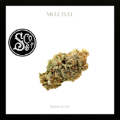 Flower | Mule Fuel
