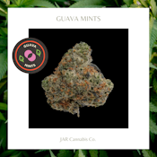 Flower | Guava Mints