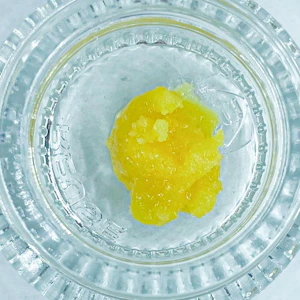 BEEHIVE EXTRACTS - Project Fanta, Cured Resin