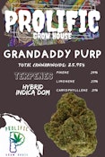 Grandaddy Purp Big Buds - 3.5g 