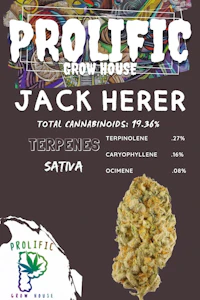 PROLIFIC GROW HOUSE - Jack Herer Big Buds - 3.5g