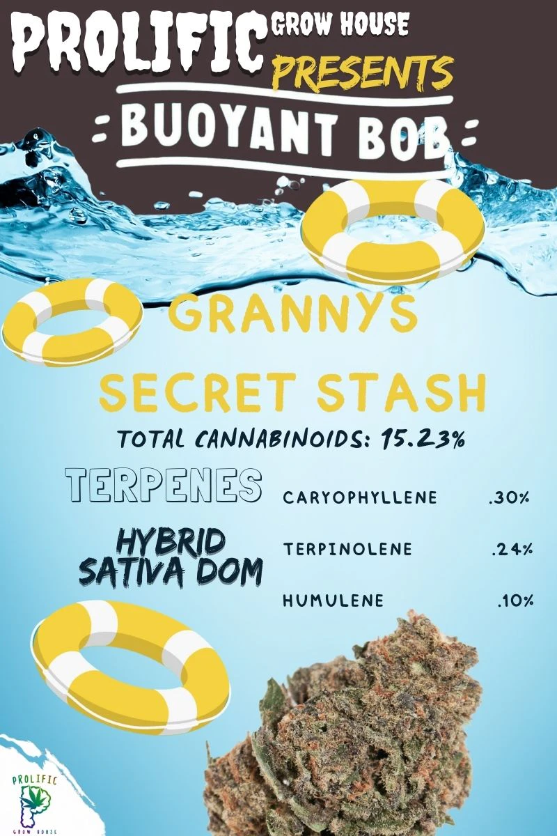 Buoyant Bob - Granny's Secret Stash | 3.5g Main Image