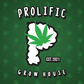 Prolific Grow House | Mimosa Mintz | Live Resin | Cartridge | 1g