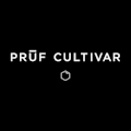 Pruf Cultivar Grapple Pie
