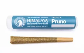 Himalaya 1g Pruno Infused Pre-Roll
