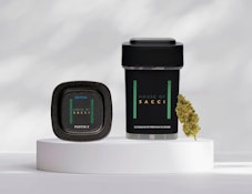 Puffin Z | Flower | 3.5g | House of Sacci