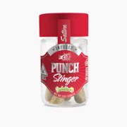 Punch - 5ct Infused Pre Rolls - Sorbetto