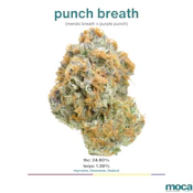 MOCA Flowers - 1/8th Mylar Bag - Punch Breath
