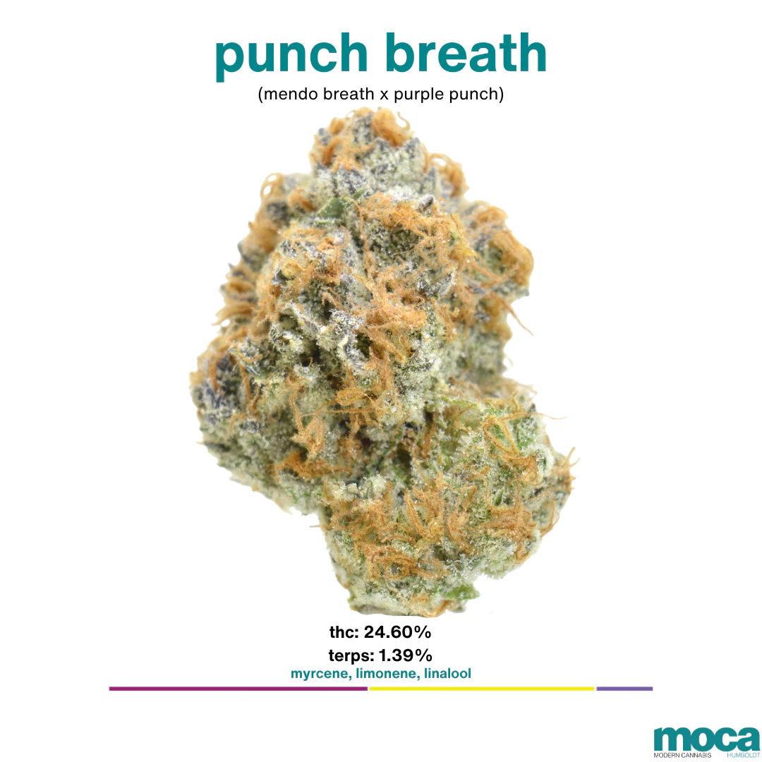 MOCA Flowers - MOCA Flowers - 1G Smalls - Punch Breath Main Image
