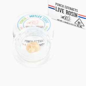 Punch Extracts - Punch Extracts - 1g Live Rosin Badder Tier4 - Dulce de Guava