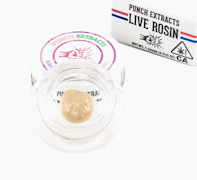 Punch Extracts - 1g Live Rosin Badder Tier4 - Gak Nana x Zoap